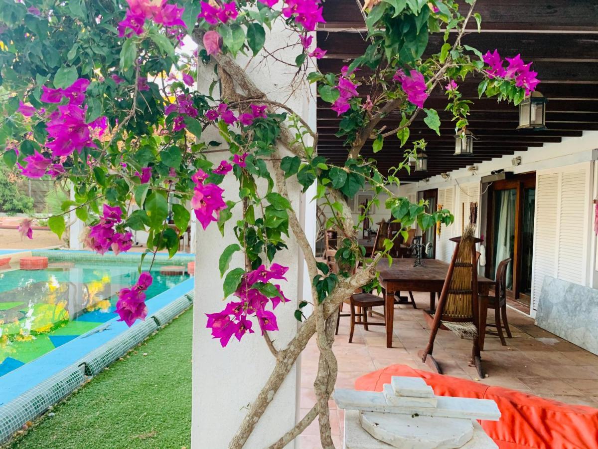Ibiza Paradise Bed & Breakfast Santa Eularia des Riu Luaran gambar